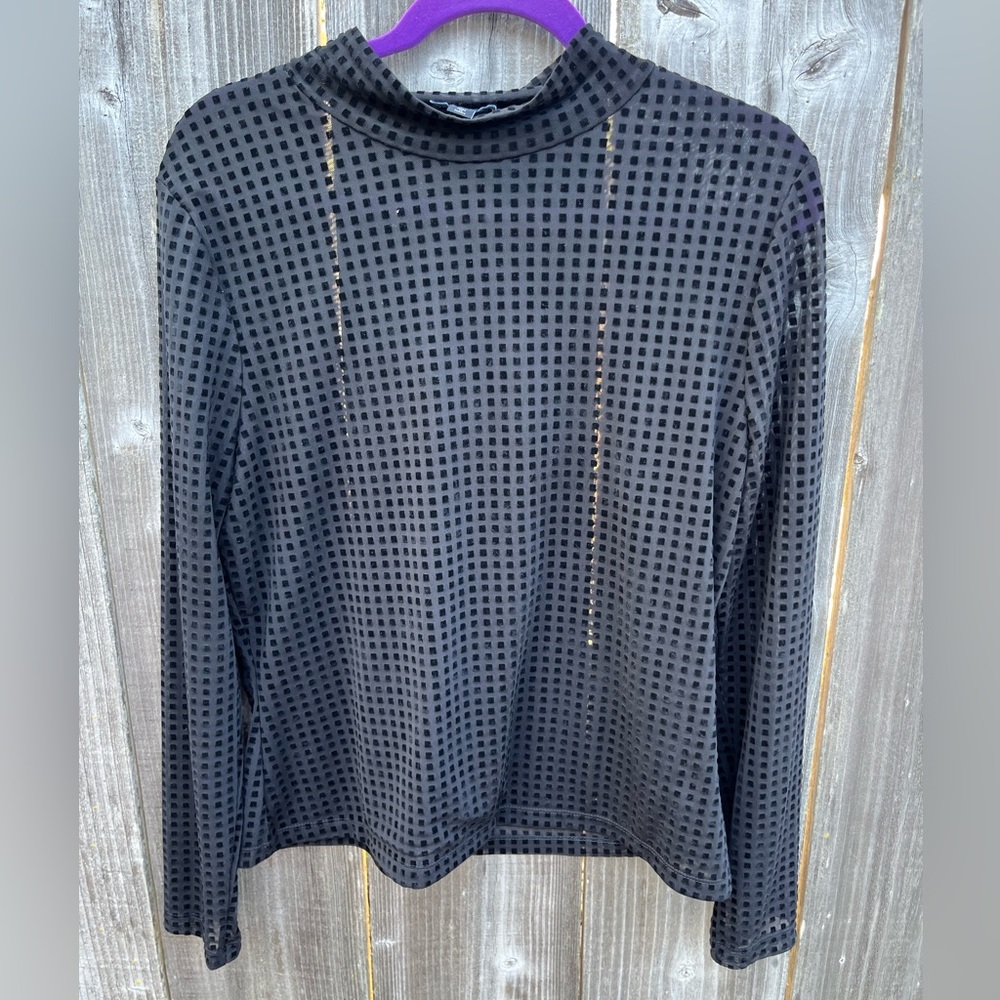 Sheer Mock Neck Long Sleeve